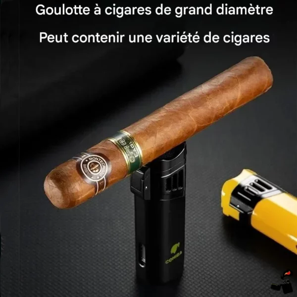 Briquet COHIBA 3 Jets Torche Cigares BBQ Goulotte